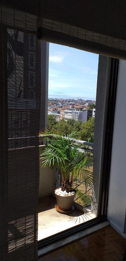 Trindade Apartment بورتو المظهر الخارجي الصورة